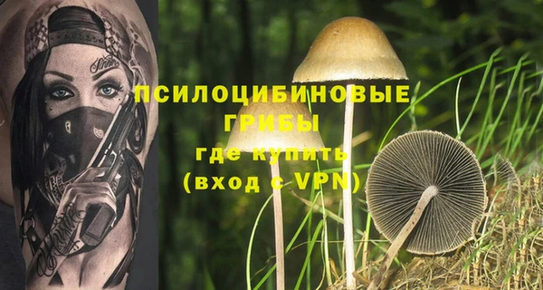 прущая мука Волоколамск